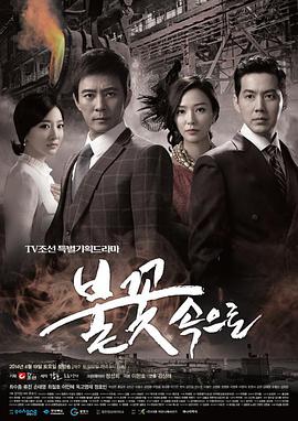 青海专业网站排名优化